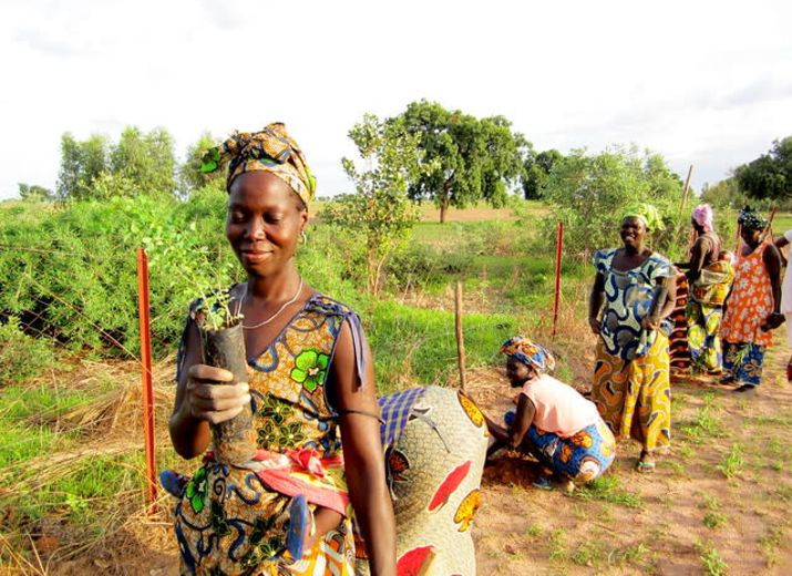 Water access for Sustainable Agriculture Senegal
