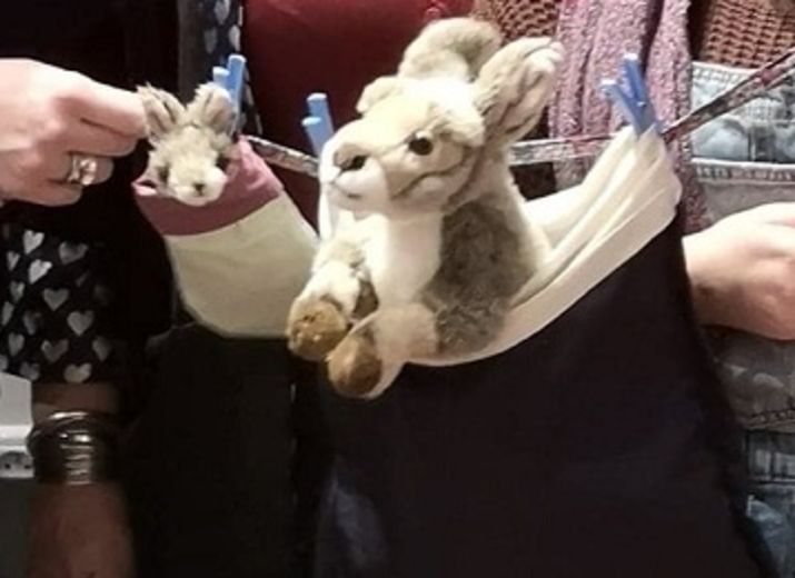 Germaine Guérin - Les fous de Bass : Financement des transports et des passages douaniers pour l'aide aux animaux sauvés des feux australiens