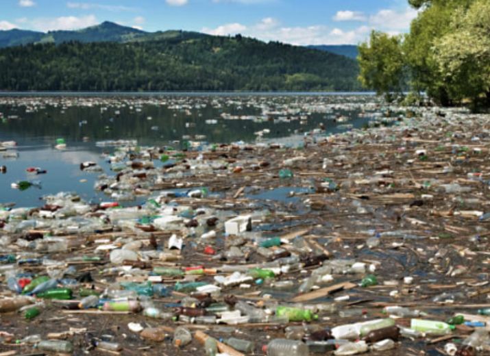 Help save our planet