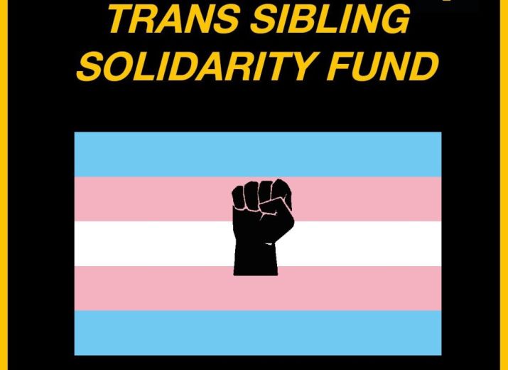 Trans Sibling Solidarity Fund