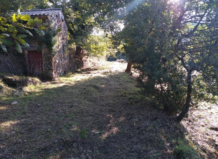 Aidez la Ferme du Romagoua dans son projet agroécologique !