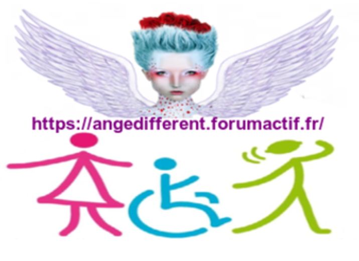 Créer une association loi 1901 avec un site de rencontres entre handicapés avec contrôle du handicap car les abus de faiblesses sont omniprésents sur internet et dans la vie réelle.