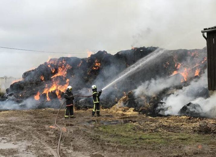 SOLIDARITE FERME DE LA GRANDE RIVIERE