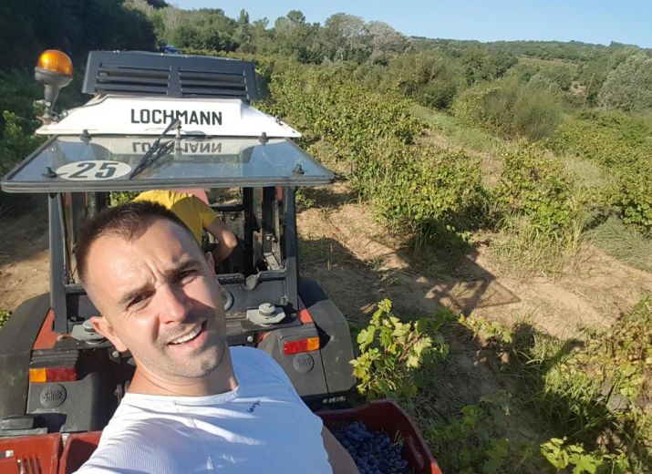 VIGNES BIO ET AGROFORESTERIE