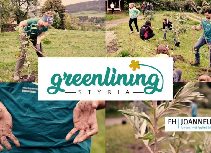 Grünstreifen pflanzen mit greenlining STYRIA