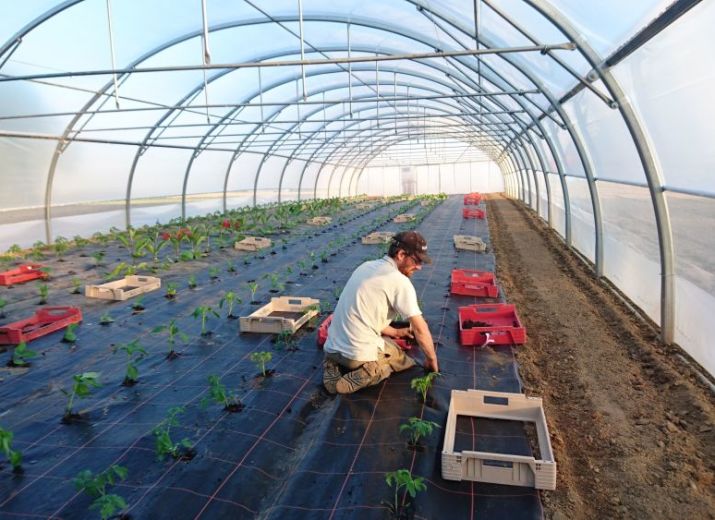 Ferme de la Hulotte : "Après la pluie, le beau temps"