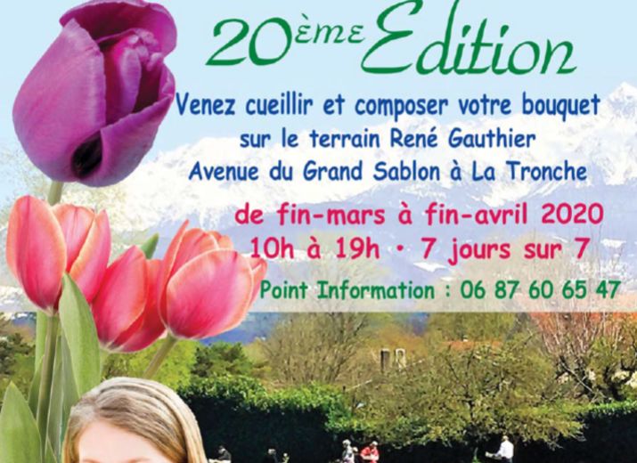 Opération 100 000 tulipes pour les enfants atteints de la maladie du cancer à Grenoble ***** Virtuelles à cause du Covid19 *****