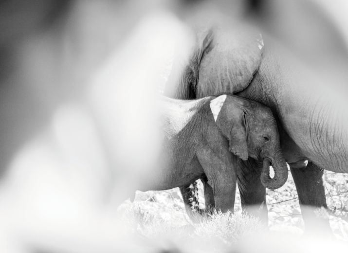 Together for Hope