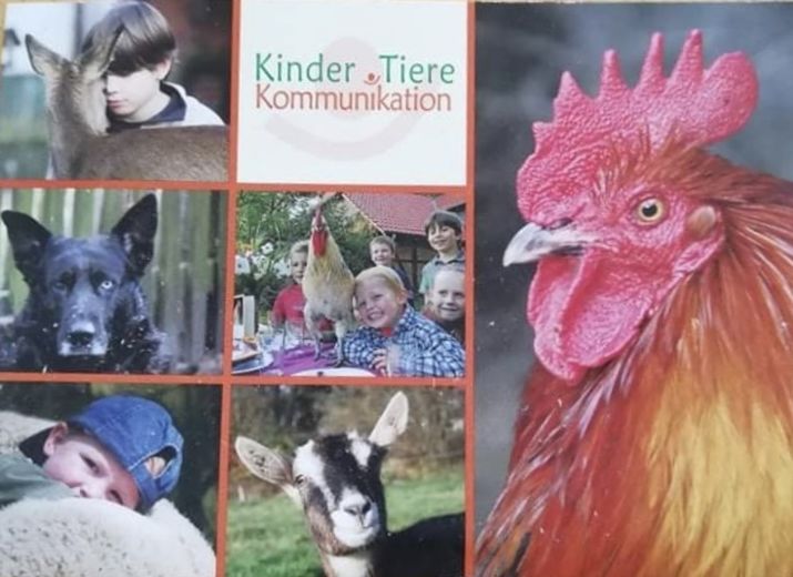 #wirfürbokelberge Corinna und ihre Tiere brauchen Euch