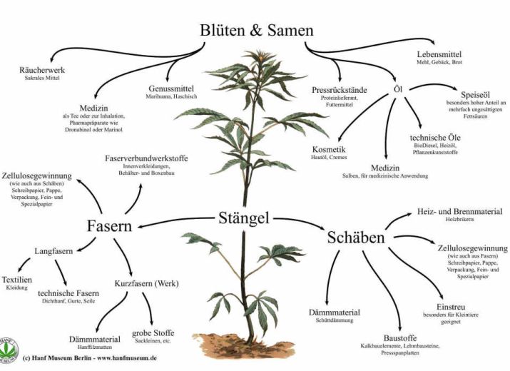 Produkte aus Hanf