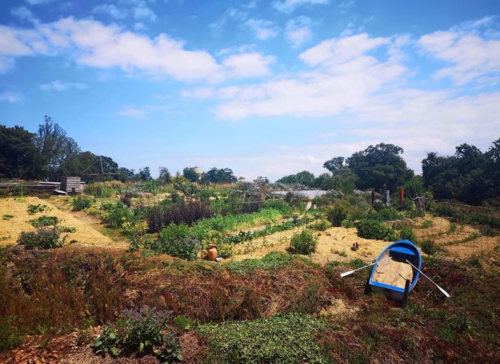 Serre semi-enterrée en permaculture !
