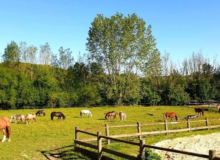 Poneys club de la sente Thimécourt