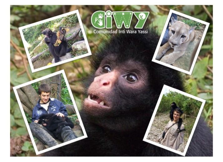 Cumple solidario Olivier / CIWY