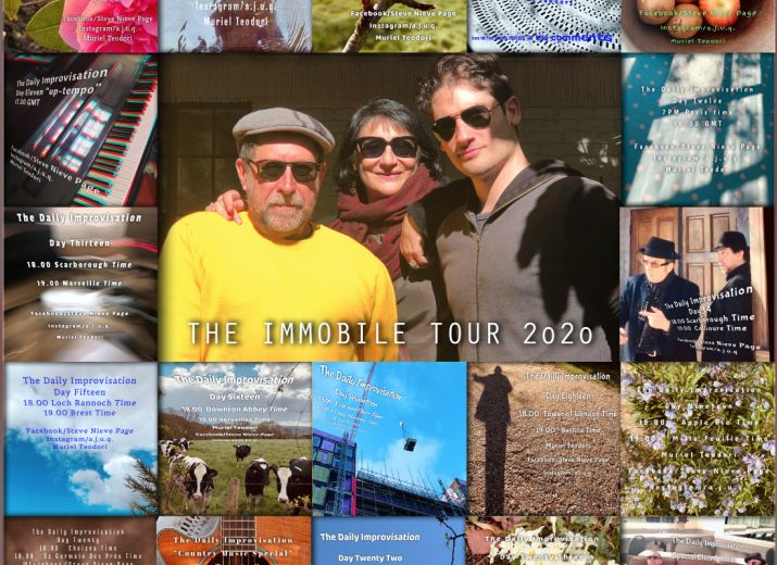 The Immobile Tour Poster