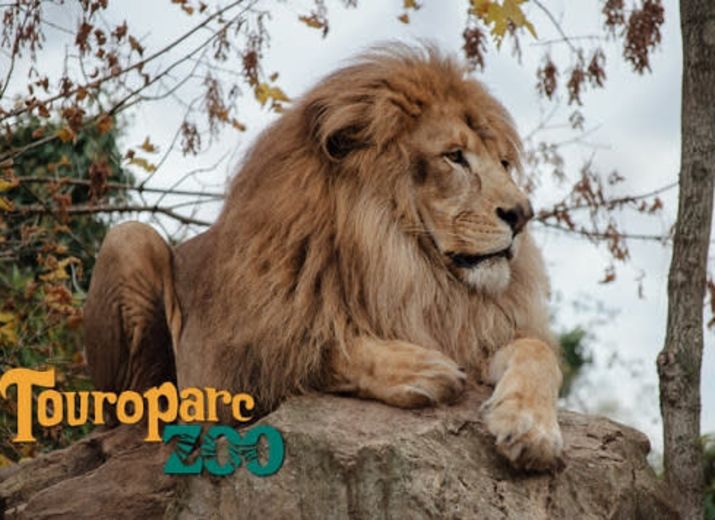 Soutien à Touroparc Zoo
