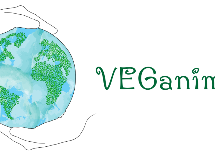 Dringend notwendiger Pferdeanhänger für Veganimals