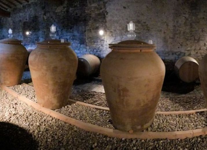 Appel à votre générosité pour vignerons en quête de leur première cuvée