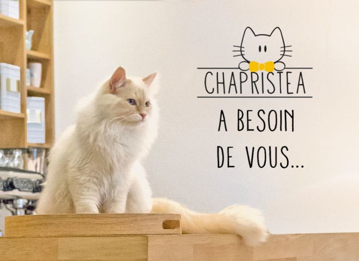 Le Chapristea a besoin de vous...