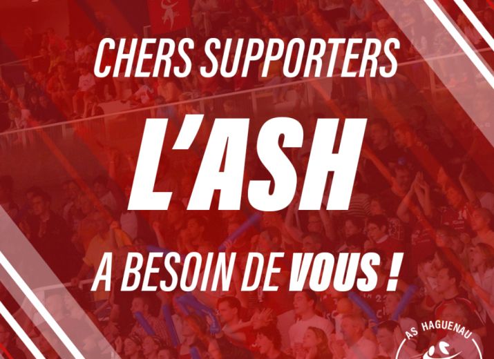 Il faut sauver le handball à Haguenau !