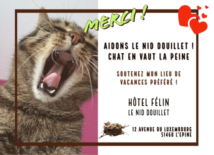Soutenons le Nid Douillet