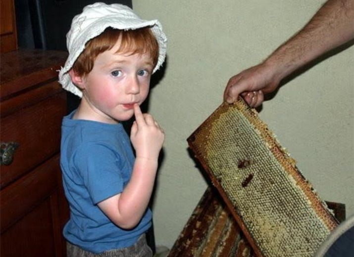 Soutien aux Abeilles de Pomoy