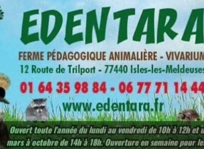 S.O.S Animaux D'EDENTARA