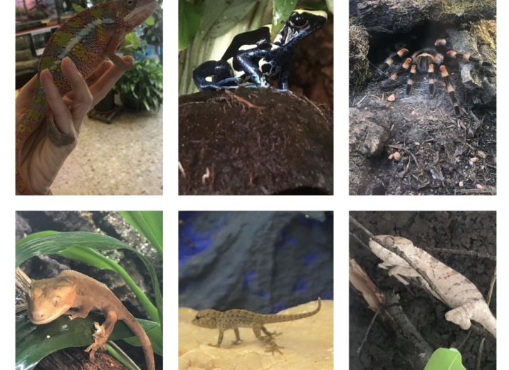 Zoo Austria Wienerwald und Wien