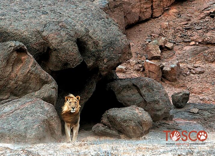 EN NAMIBIE, DES RANGERS POUR PROTEGER LA FAUNE