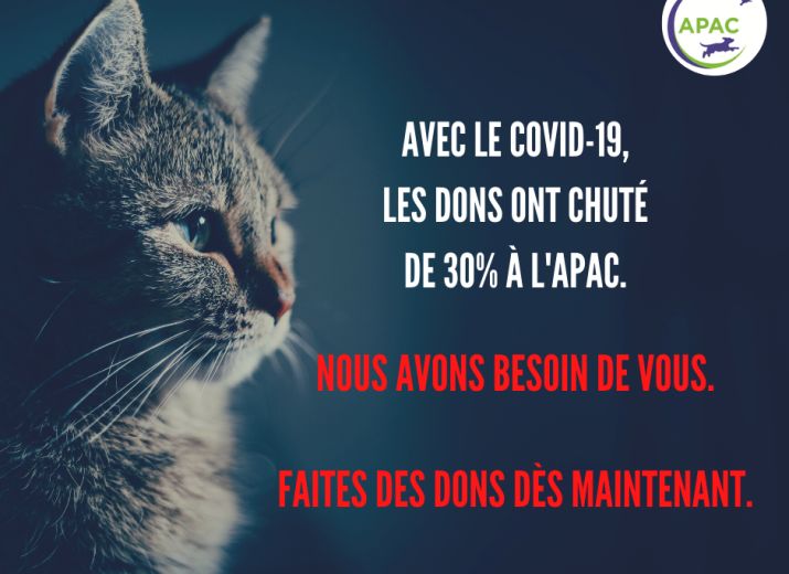 Une aide pour nos protégés!