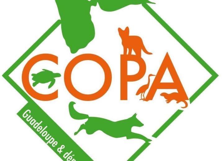 Association COPA GUADELOUPE : Fonds sauvetages chiens
