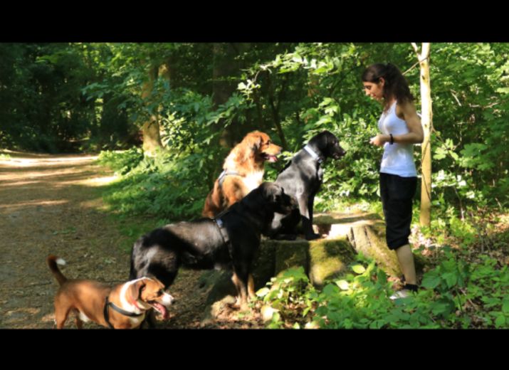 Hundepsychologin