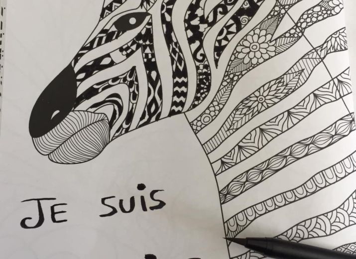 Cagnotte Cagnotte Pour Je Suis Borderline Leetchi
