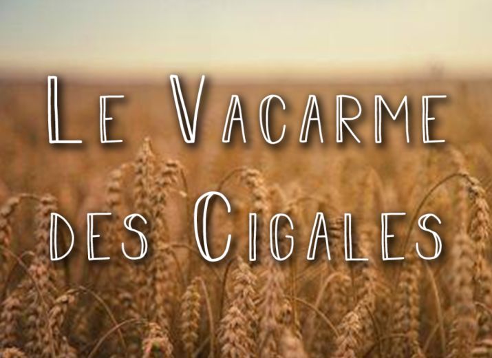Le Vacarme des Cigales