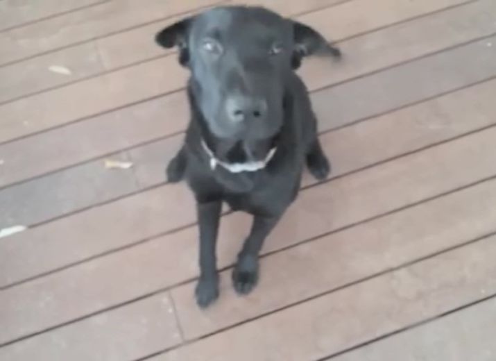 Bella