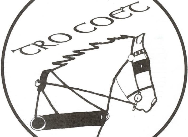 Soutiens a l'école française d'attelage de Trocoet. Arkane de Trocoet