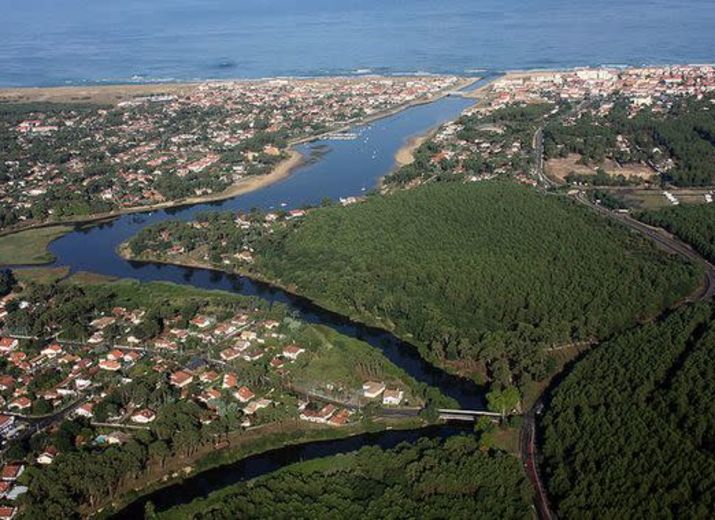 Aider à sauvegarder le site boisé remarquable du Parc d'Hiver de Mimizan