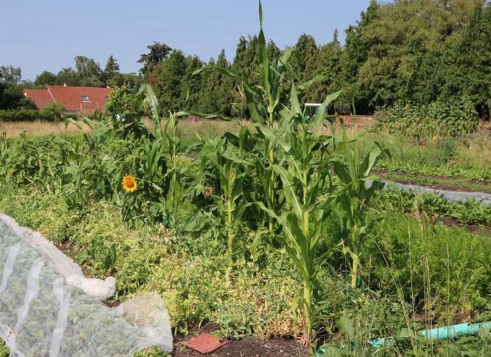Sauvons la ferme des pasSages