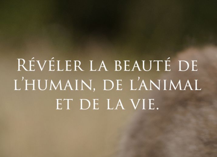 L'appel de la vie
