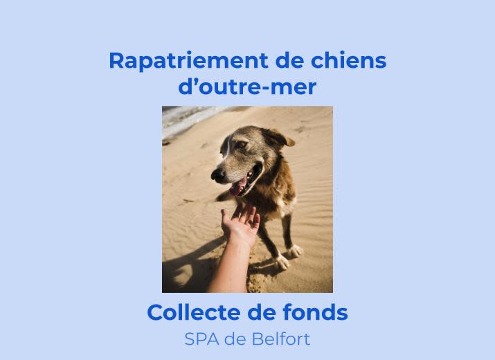 Sauvetage chiens d'outre-mer