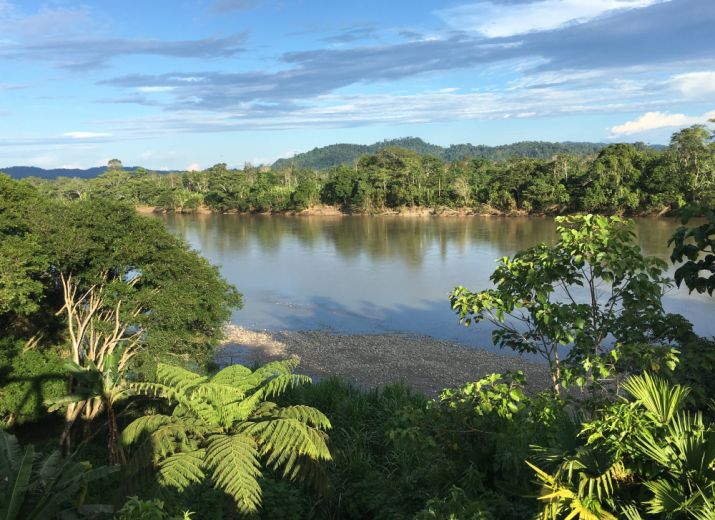 Réserve en Amazonie : Protégeons 500 hectares de forêt primaire en Equateur