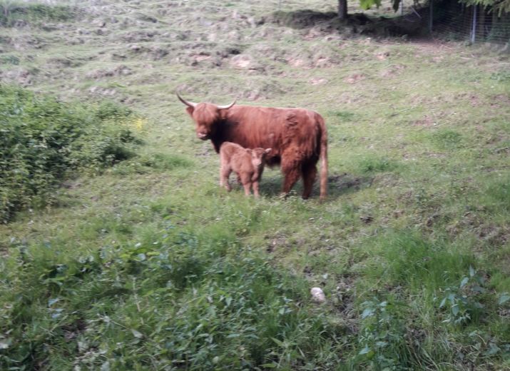 Permakultur Landwirtschaft