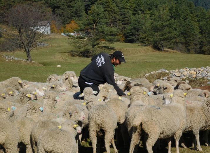Solidarité avec la famille Cavallo, éleveurs de la Roya
