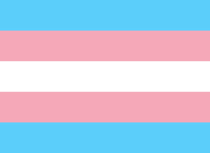 Soutien à S., femme trans et réfugiée, incarcérée dans une prison pour hommes