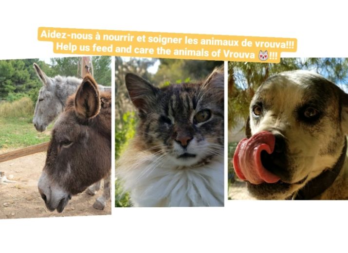 Aider à subvenir aux besoins de ses animaux ! Help support these animals !