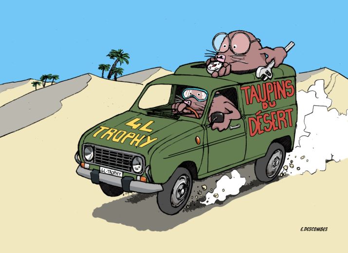 Taupins du désert