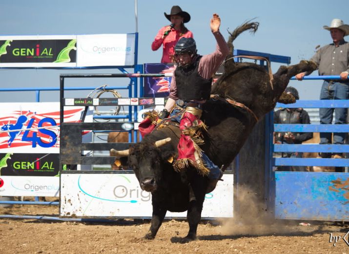 Soutien aux Bovins Sportifs du 4S Ranch
