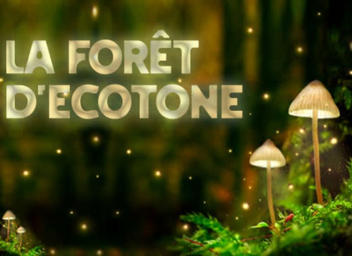 Ecolieu La forêt d'Ecotone