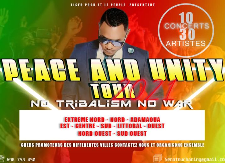 Organiser la tournée nationale"PEACE AND UNITY" dans les 10 regions du Cameroun afin de mettre fin à la haine tribale,à la division et la guerre du NOSO