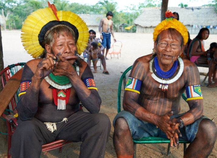 Défendons l'Amazonie: Financement des postes de garde des Kayapos