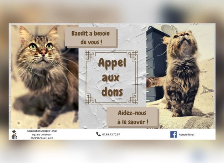 Bandit l'ex baroudeur